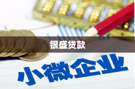 金寨银盛贷款