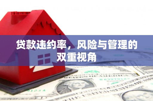 利津贷款违约率，风险与管理的双重视角