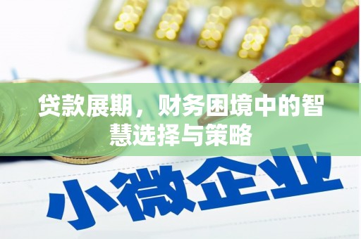 海伦贷款展期，财务困境中的智慧选择与策略