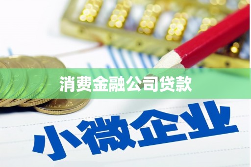 石台消费金融公司贷款