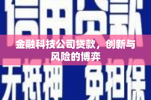 兴山金融科技公司贷款，创新与风险的博弈