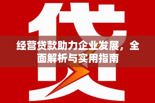 汉源经营贷款助力企业发展，全面解析与实用指南