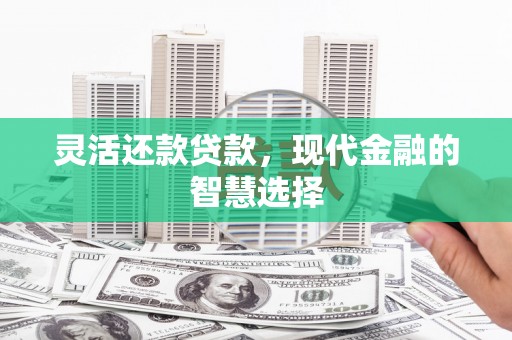 洋山灵活还款贷款，现代金融的智慧选择