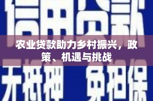 正阳农业贷款助力乡村振兴，政策、机遇与挑战