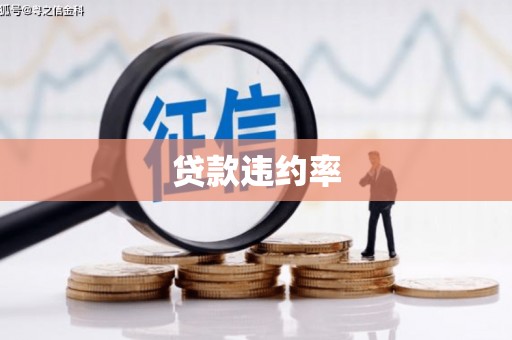 西昌贷款违约率