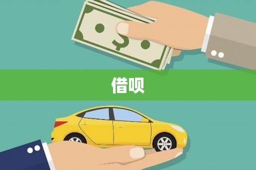大洼借呗