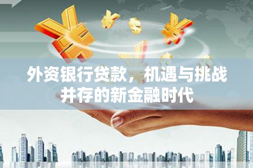 埔里外资银行贷款，机遇与挑战并存的新金融时代