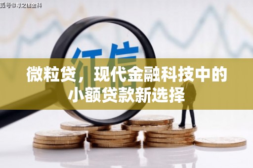 越城微粒贷，现代金融科技中的小额贷款新选择