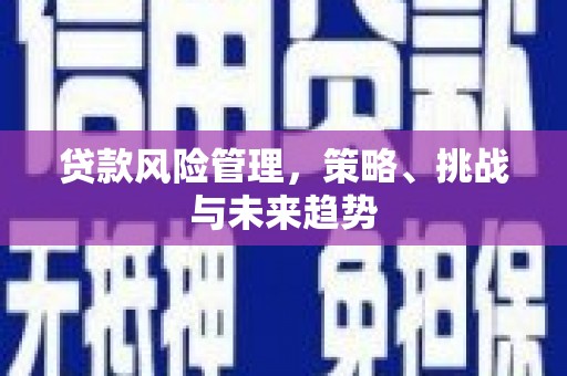 临湘贷款风险管理，策略、挑战与未来趋势