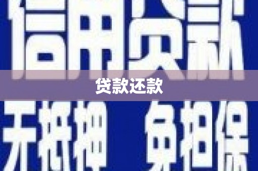 洛扎贷款还款