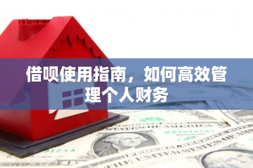 丹凤借呗使用指南，如何高效管理个人财务