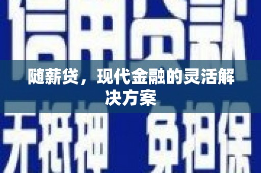洋县随薪贷，现代金融的灵活解决方案
