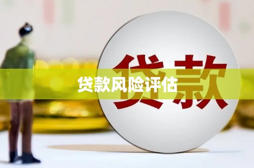 新埔贷款风险评估