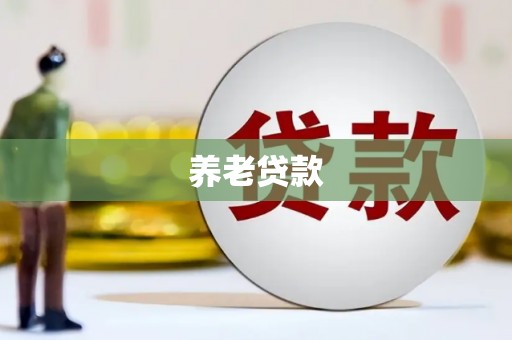 山阴养老贷款