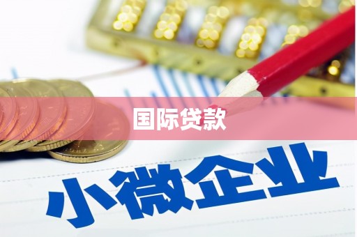 金州国际贷款