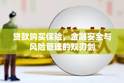 龙游贷款购买保险，金融安全与风险管理的双刃剑