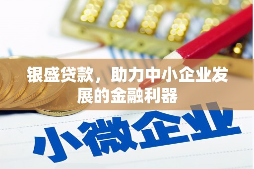 武隆银盛贷款，助力中小企业发展的金融利器