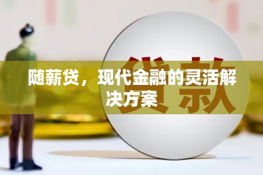 武川随薪贷，现代金融的灵活解决方案