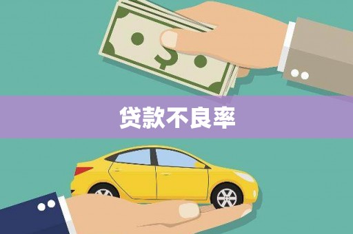 南丰贷款不良率