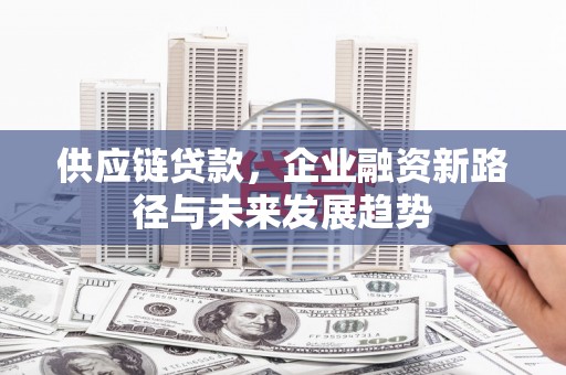 芦竹供应链贷款，企业融资新路径与未来发展趋势