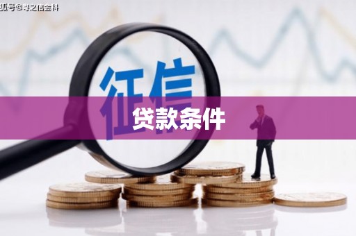 洋山贷款条件