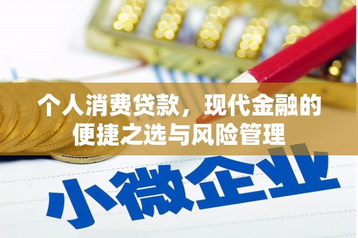 徐汇个人消费贷款，现代金融的便捷之选与风险管理