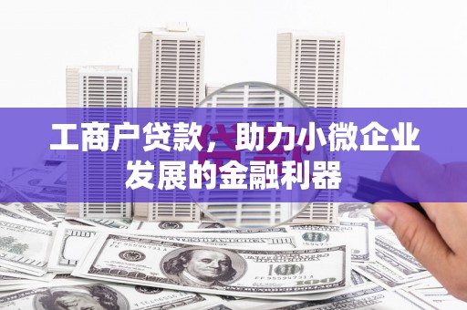 进贤工商户贷款，助力小微企业发展的金融利器
