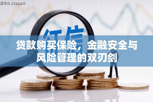 慈溪贷款购买保险，金融安全与风险管理的双刃剑