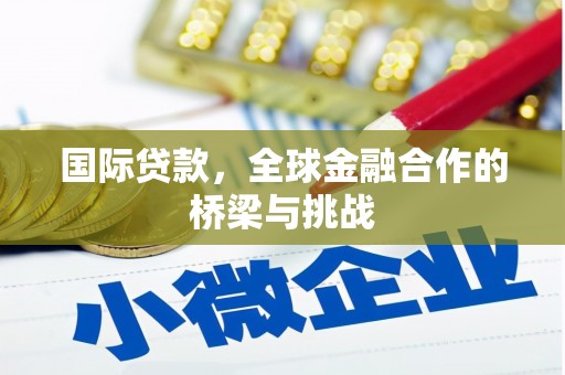 丹徒国际贷款，全球金融合作的桥梁与挑战