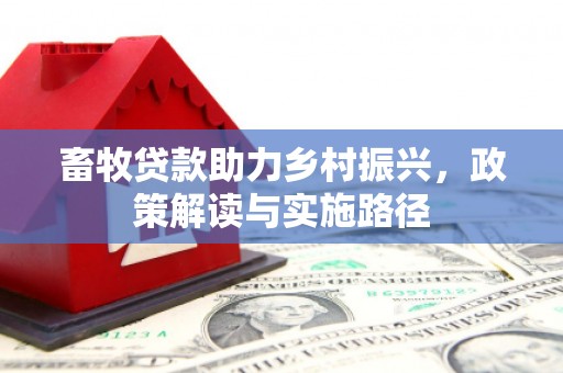 滁州畜牧贷款助力乡村振兴，政策解读与实施路径