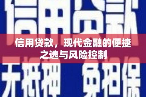 温宿信用贷款，现代金融的便捷之选与风险控制