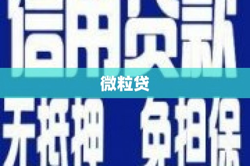 朔城微粒贷