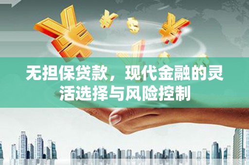 沧源无担保贷款，现代金融的灵活选择与风险控制