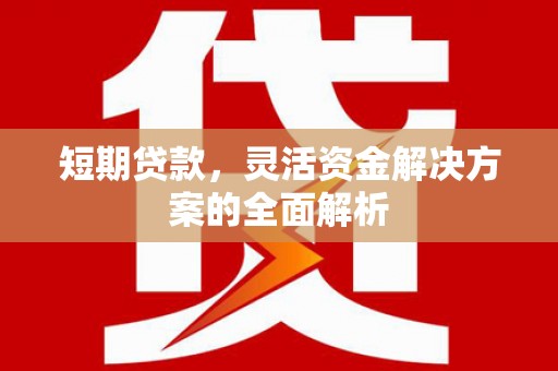谯城短期贷款，灵活资金解决方案的全面解析