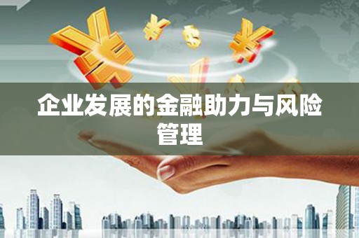 师宗企业发展的金融助力与风险管理