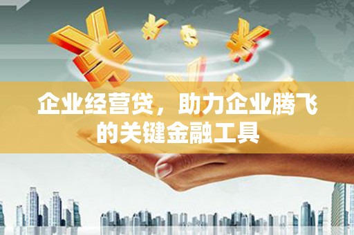 马山企业经营贷，助力企业腾飞的关键金融工具