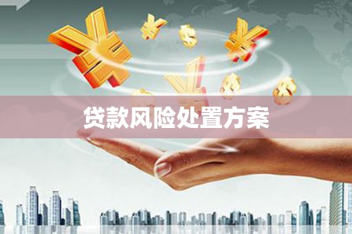 顺庆贷款风险处置方案