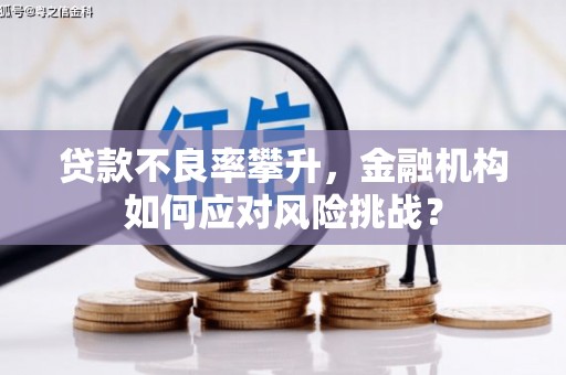 南宫贷款不良率攀升，金融机构如何应对风险挑战？