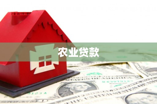 东区农业贷款