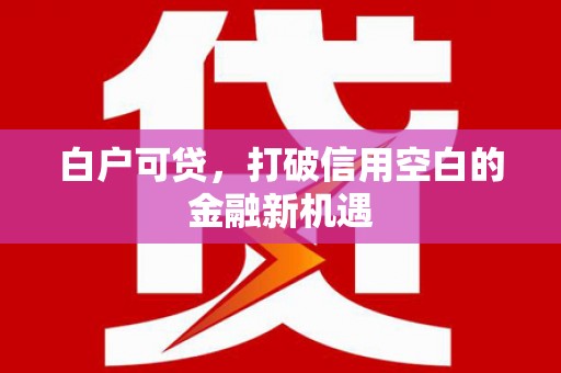 旅顺口白户可贷，打破信用空白的金融新机遇