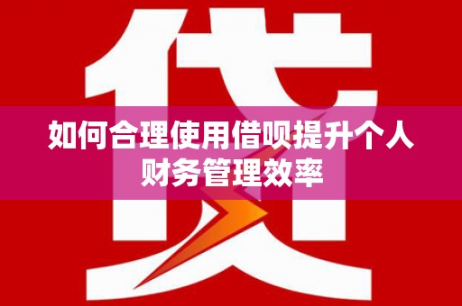 林西如何合理使用借呗提升个人财务管理效率