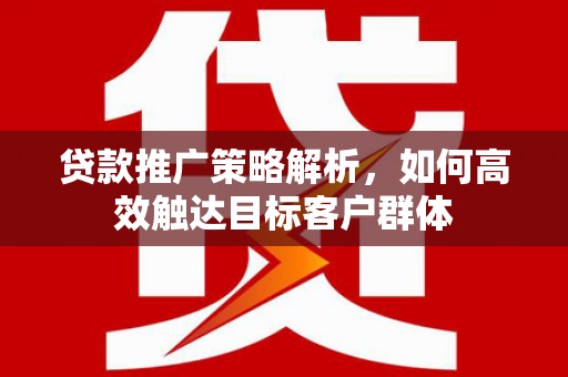 项城贷款推广策略解析，如何高效触达目标客户群体