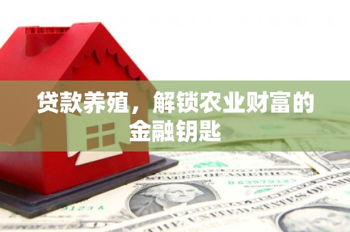 竹崎贷款养殖，解锁农业财富的金融钥匙