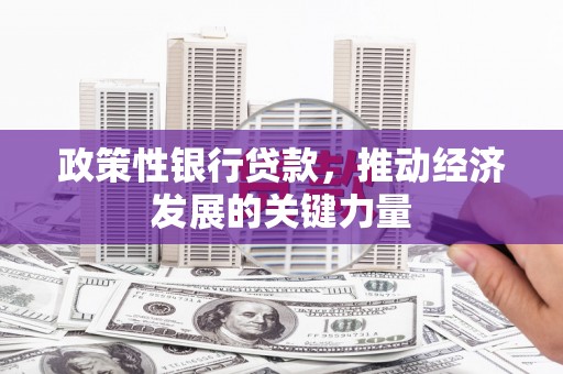 鹿草政策性银行贷款，推动经济发展的关键力量