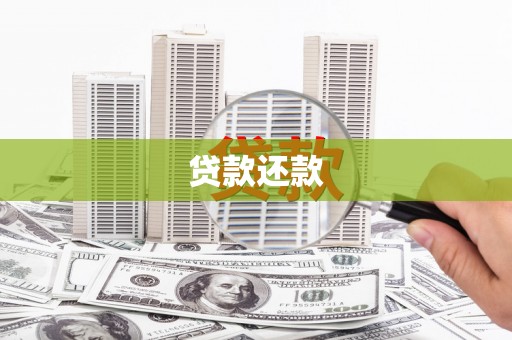 大武贷款还款