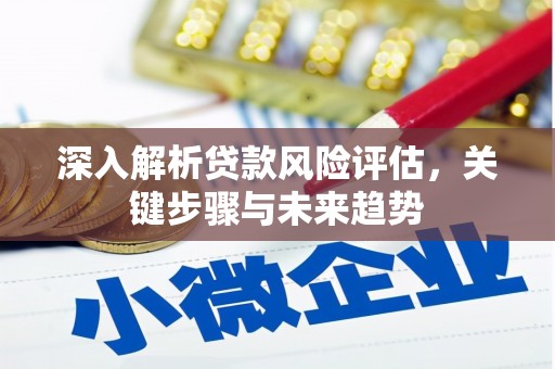 桥东深入解析贷款风险评估，关键步骤与未来趋势