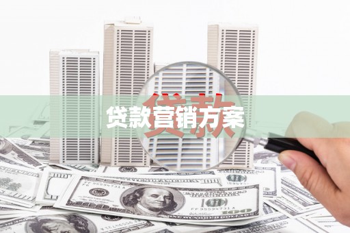 莱山贷款营销方案