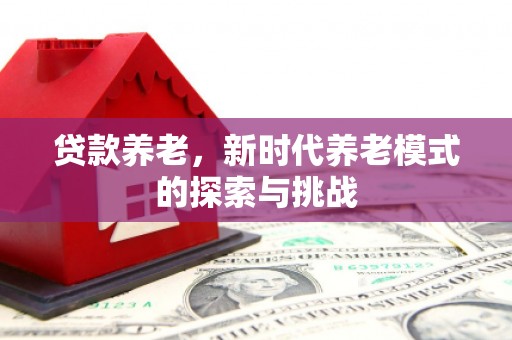 进贤贷款养老，新时代养老模式的探索与挑战