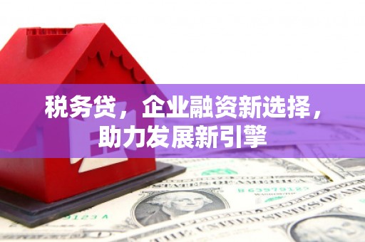 依兰税务贷，企业融资新选择，助力发展新引擎