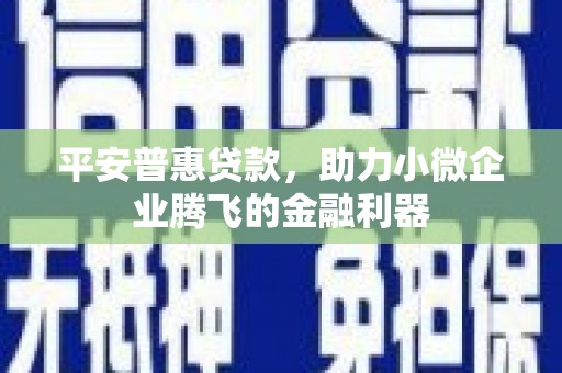 岱山平安普惠贷款，助力小微企业腾飞的金融利器
